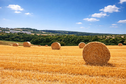 növénybiztosítás